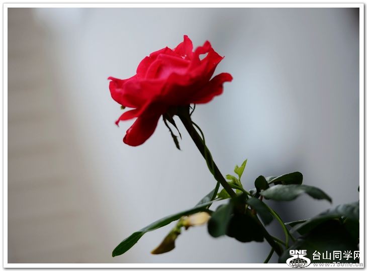 nEO_IMG_DSC_7301.jpg
