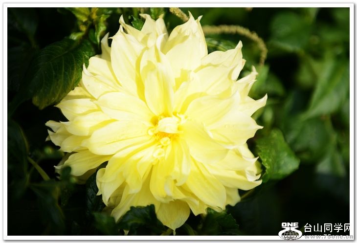 nEO_IMG_DSC_6946.jpg