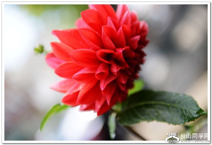 nEO_IMG_DSC_6935.jpg