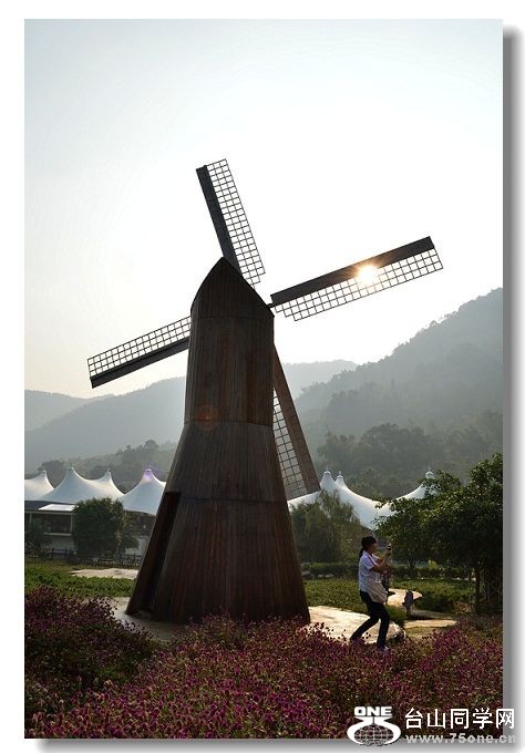 ���� 229.jpg