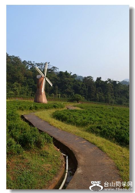 ���� 237.jpg