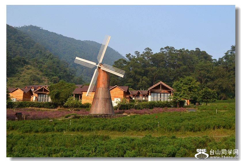 ���� 241.jpg