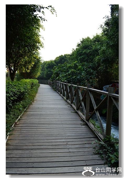 ���� 220.jpg