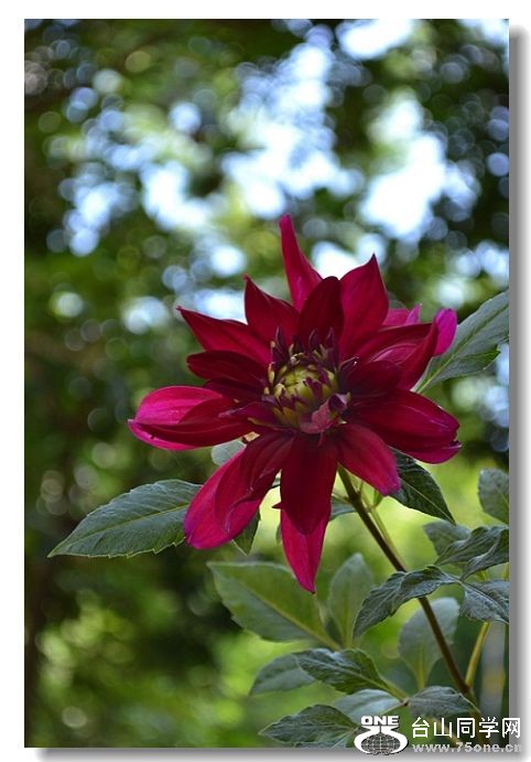 ����1 068.jpg