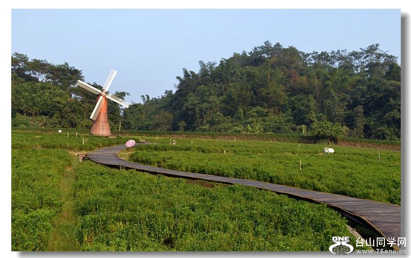 ���� 242.jpg