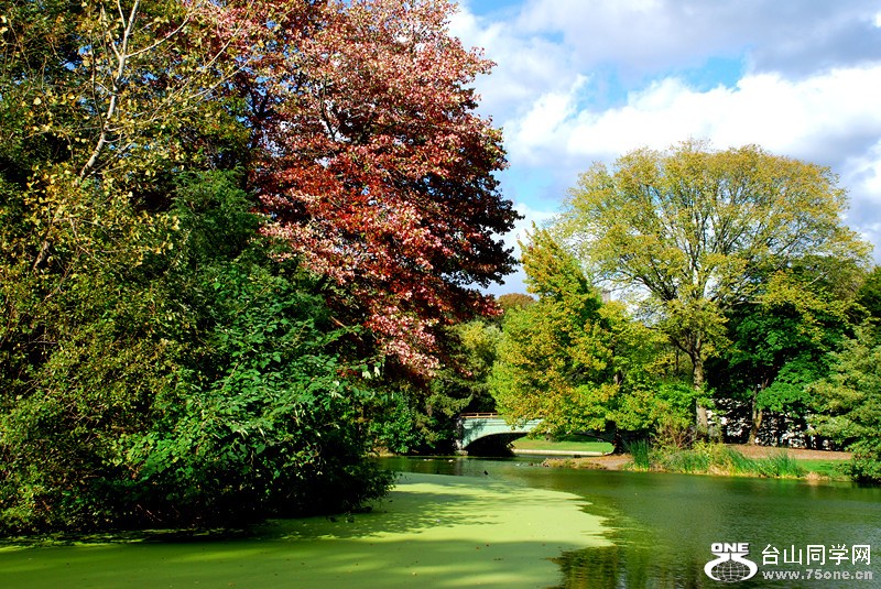 չ԰ɫ&nbsp;&nbsp;10.12.2012 030_.jpg