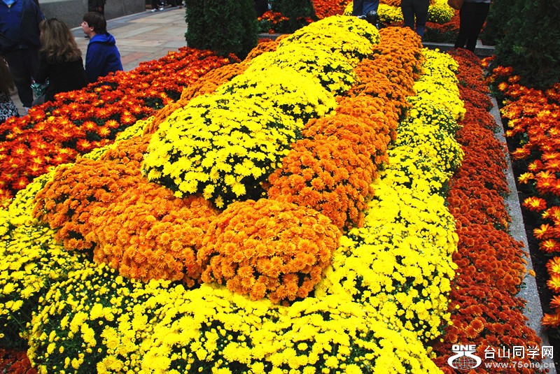 ײ&nbsp;&nbsp;10.8.2012 338_.jpg