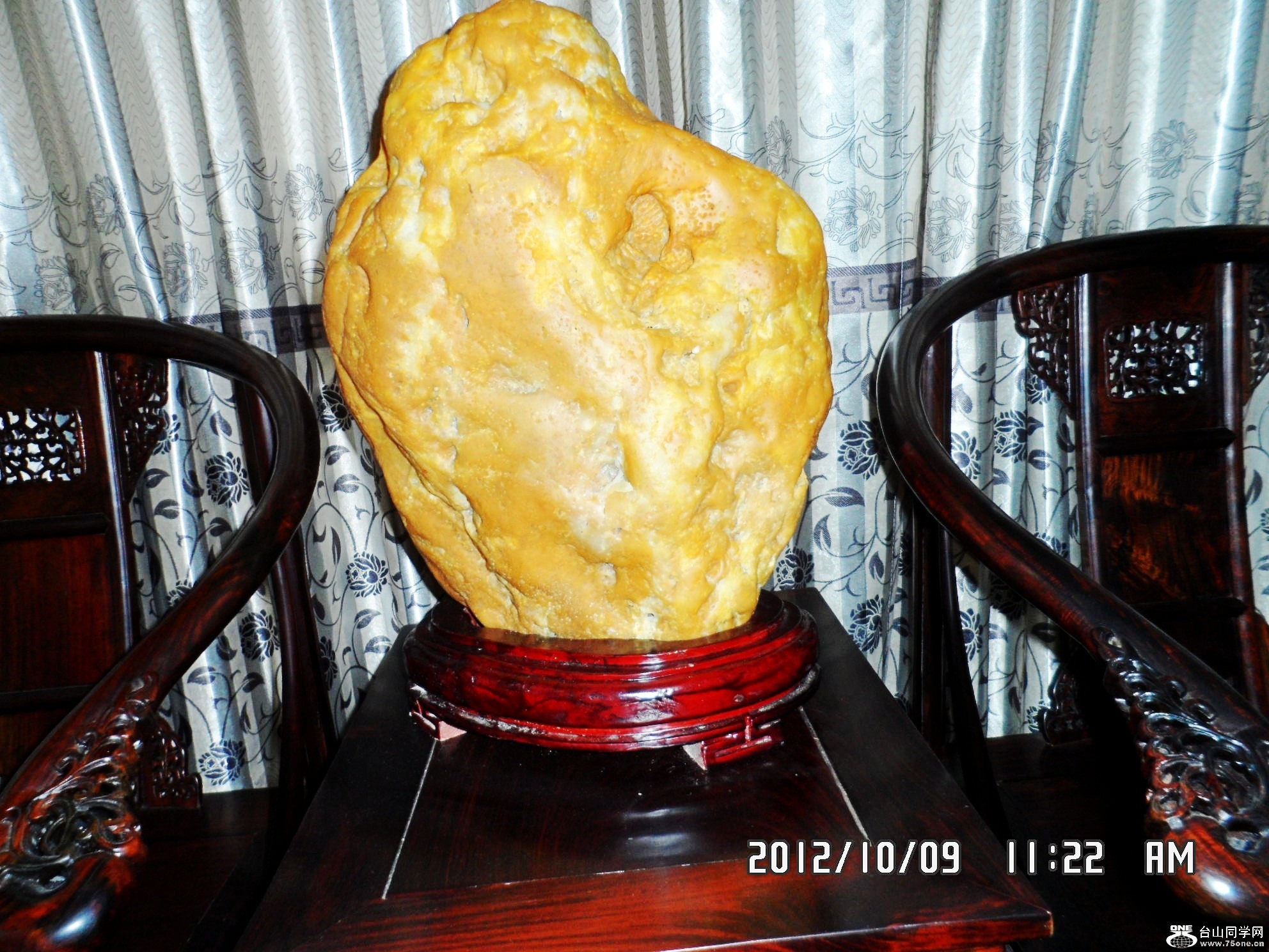 SAM_2219_conew2.jpg