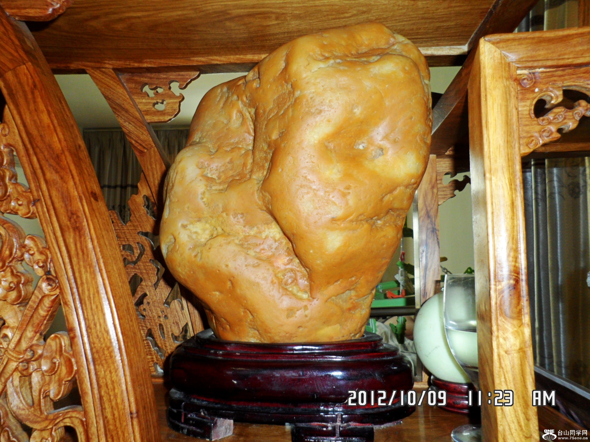 SAM_2223_conew1.jpg