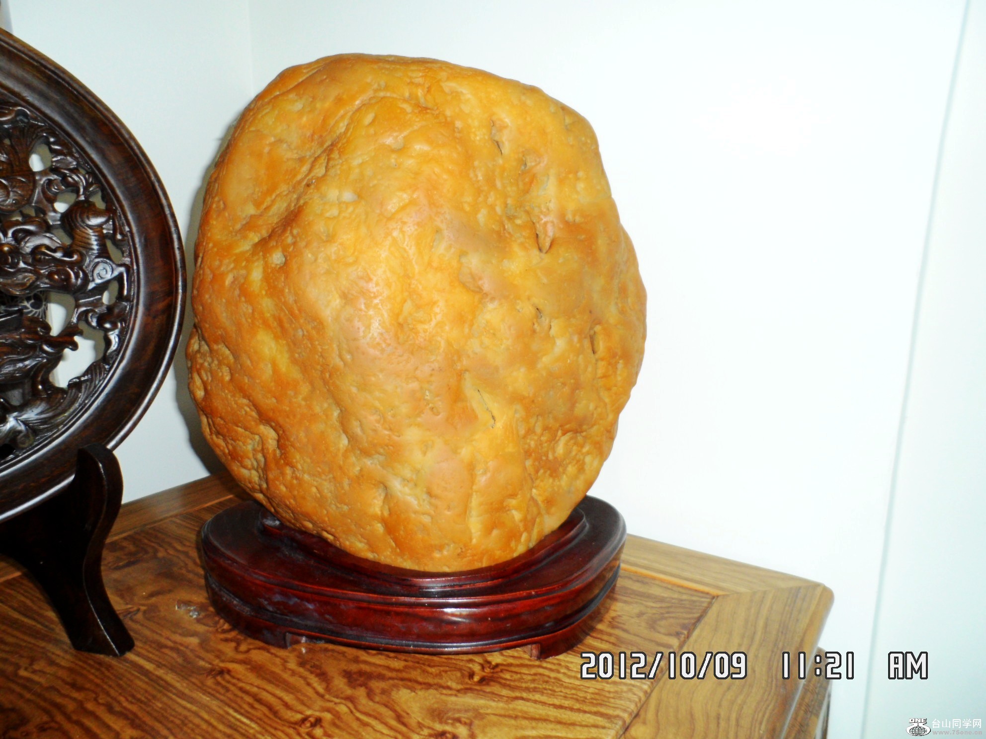 SAM_2217_conew1.jpg