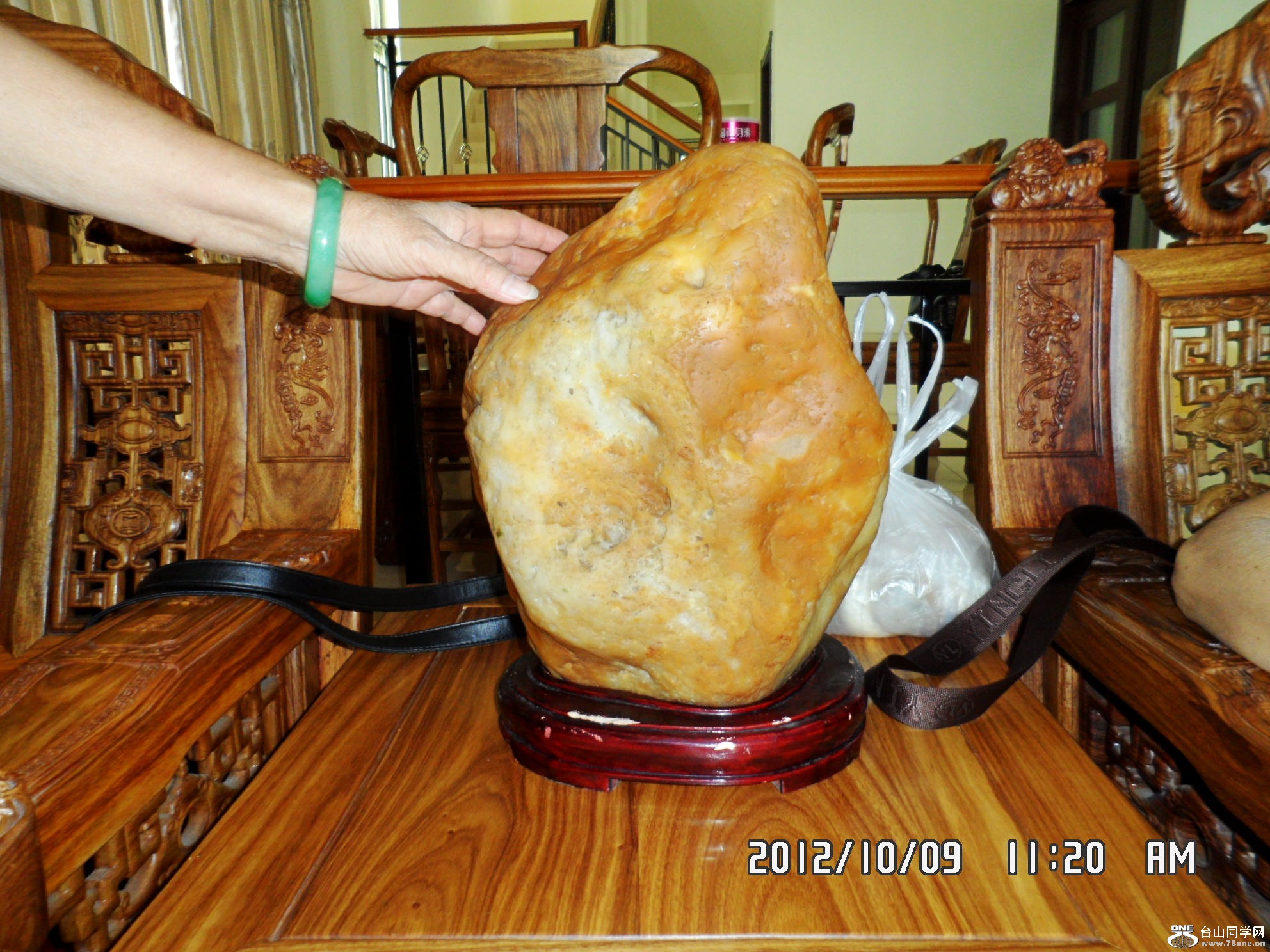 SAM_2216_conew1.jpg