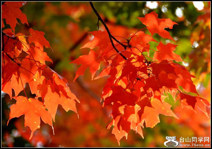 10.17.2012 Fall 084.jpg