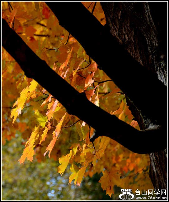 10.17.2012 Fall 025.jpg