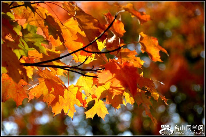 10.17.2012 Fall 009.jpg