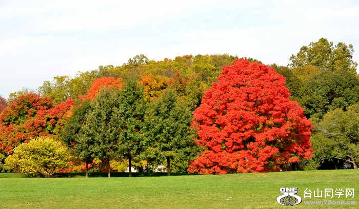 10.17.2012 Fall 075.jpg