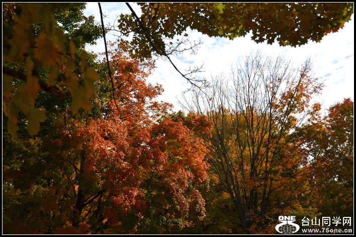 10.17.2012 Fall 026.jpg