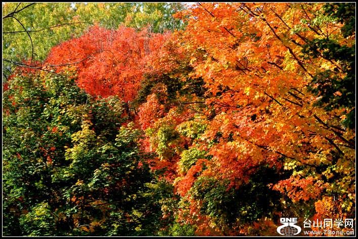 10.17.2012 Fall 006.jpg