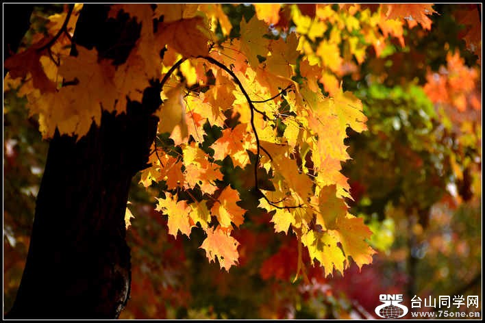 10.17.2012 Fall 017.jpg