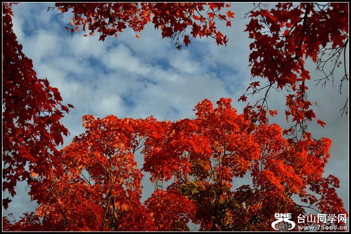 10.17.2012 Fall 092.jpg