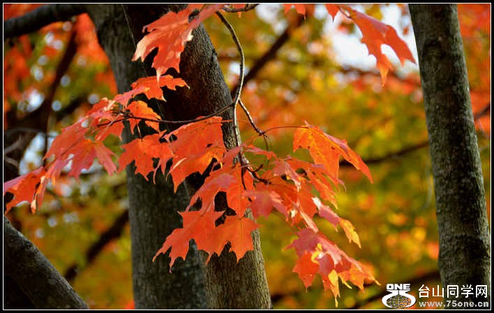 10.17.2012 Fall 087.jpg