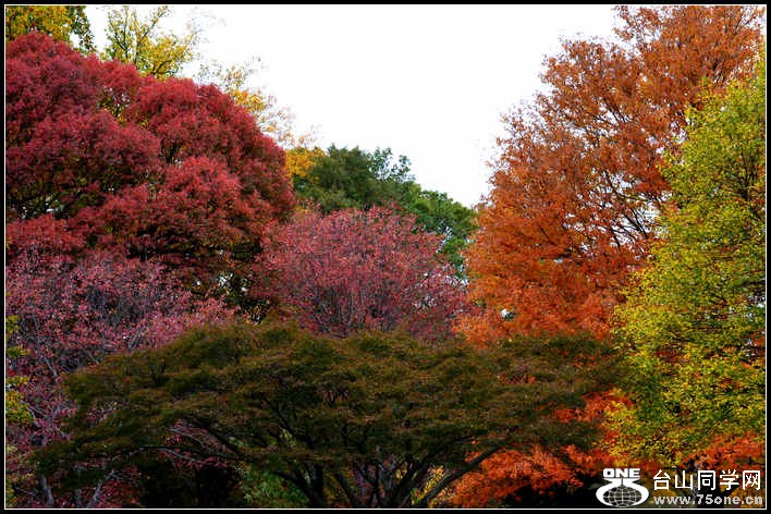 10.17.2012 Fall 360.jpg