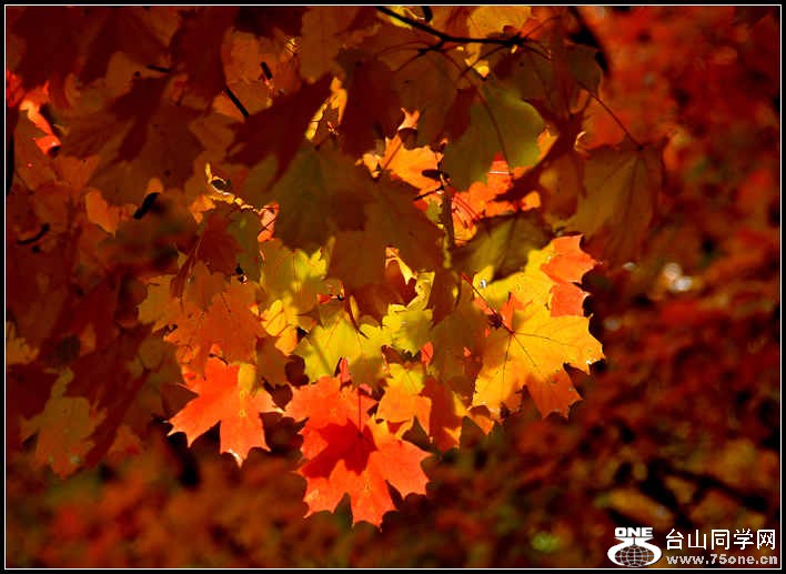 10.17.2012 Fall 021.jpg