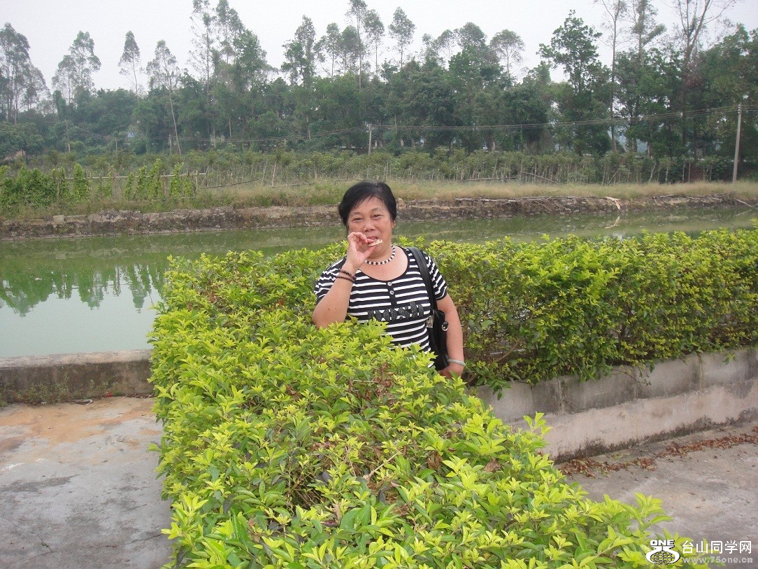 DSC05053.JPG