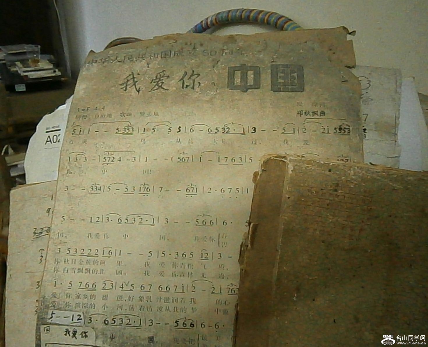P9250753.jpg