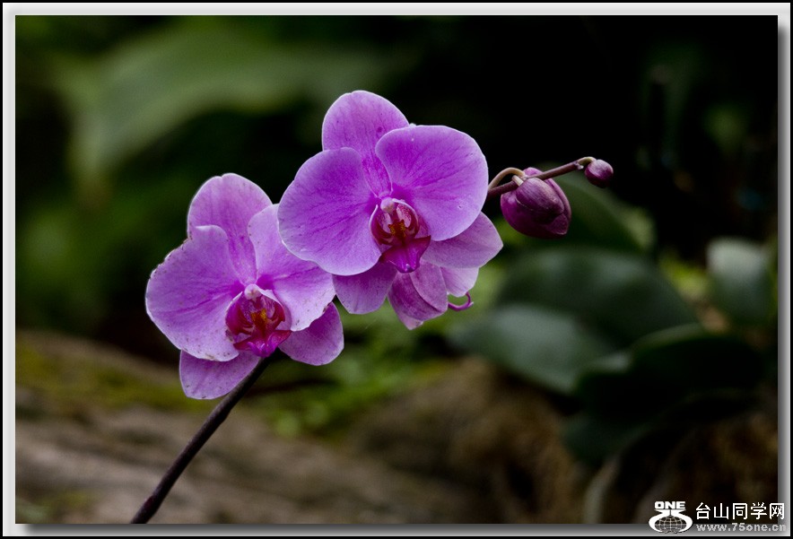 IMG_0061-2.jpg
