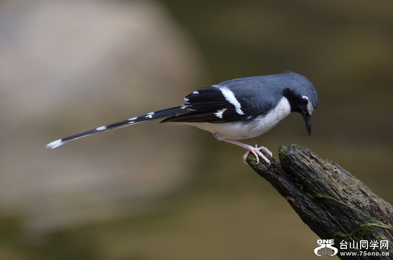 DSC_5664.JPG