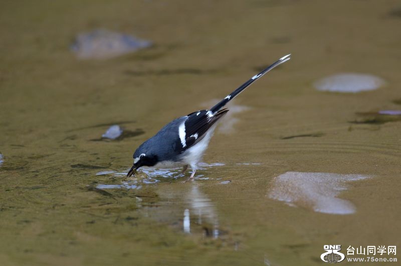 DSC_4893.JPG