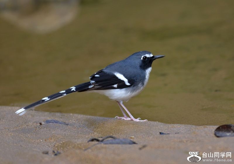 DSC_5864.JPG
