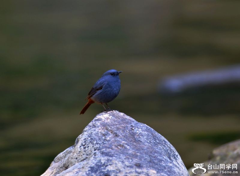 DSC_4670.JPG