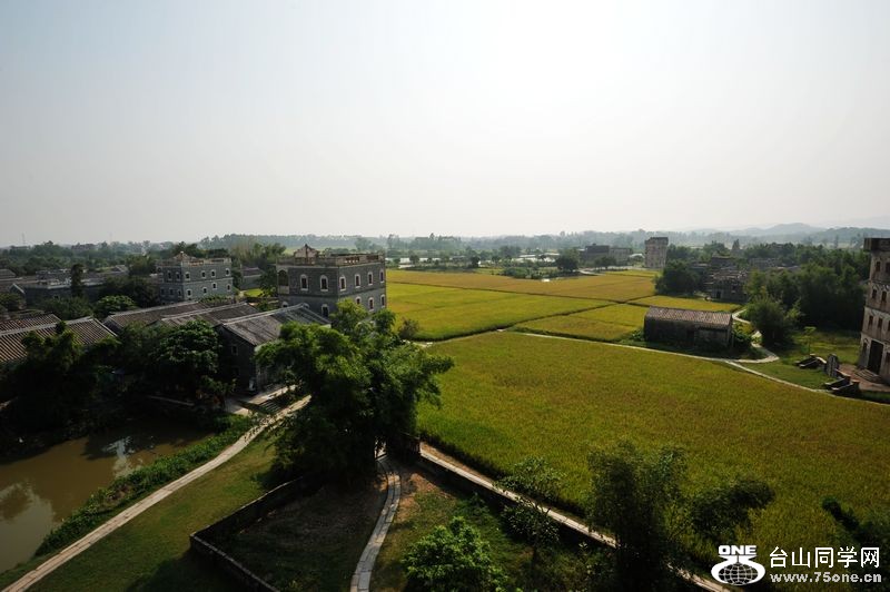 DSC_2822.JPG