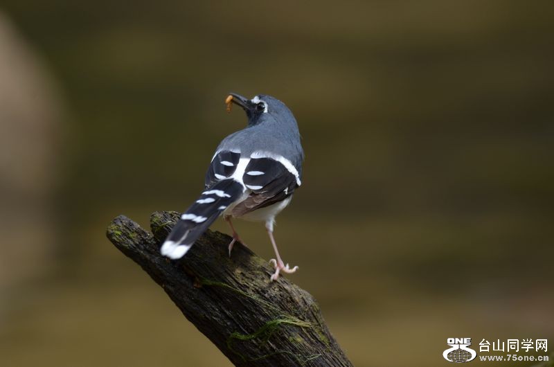 DSC_5349.JPG