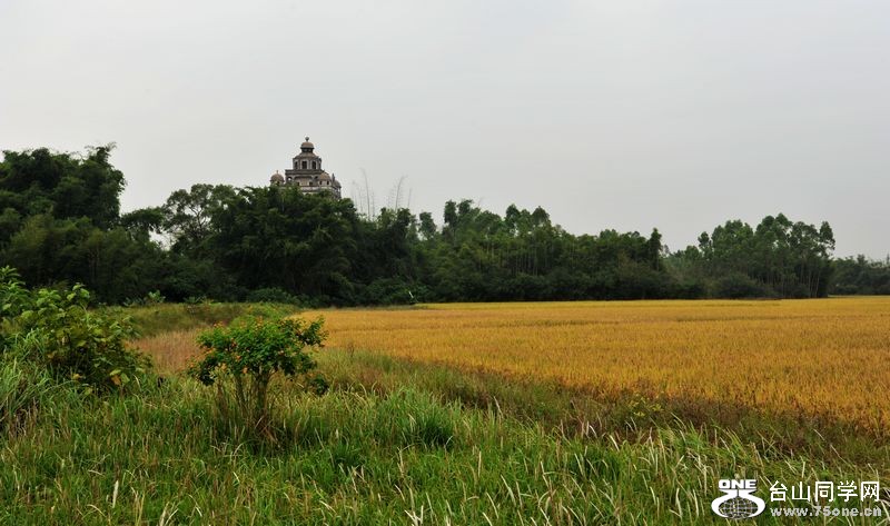 DSC_3340.JPG