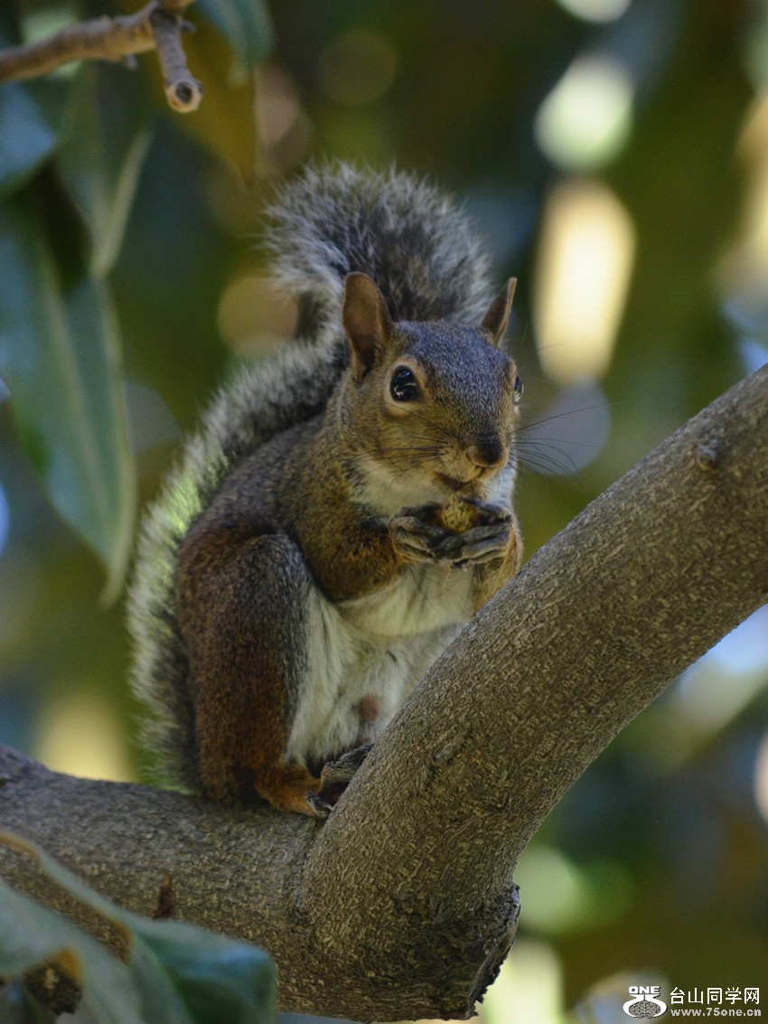 DSC_0801_35.jpg
