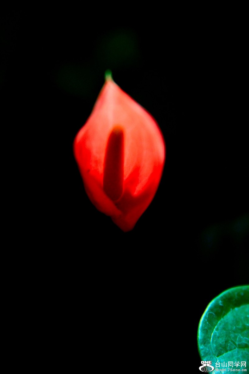 2012.11.1 205.JPG