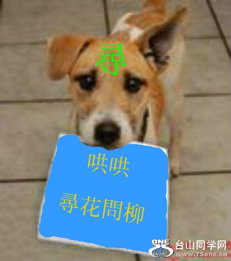get[1]_meitu_1_meitu_1_meitu_1.jpg