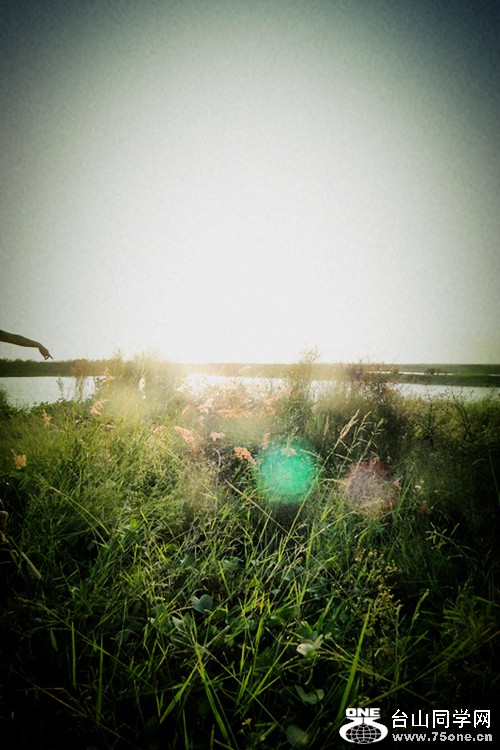 DSC07901_.jpg
