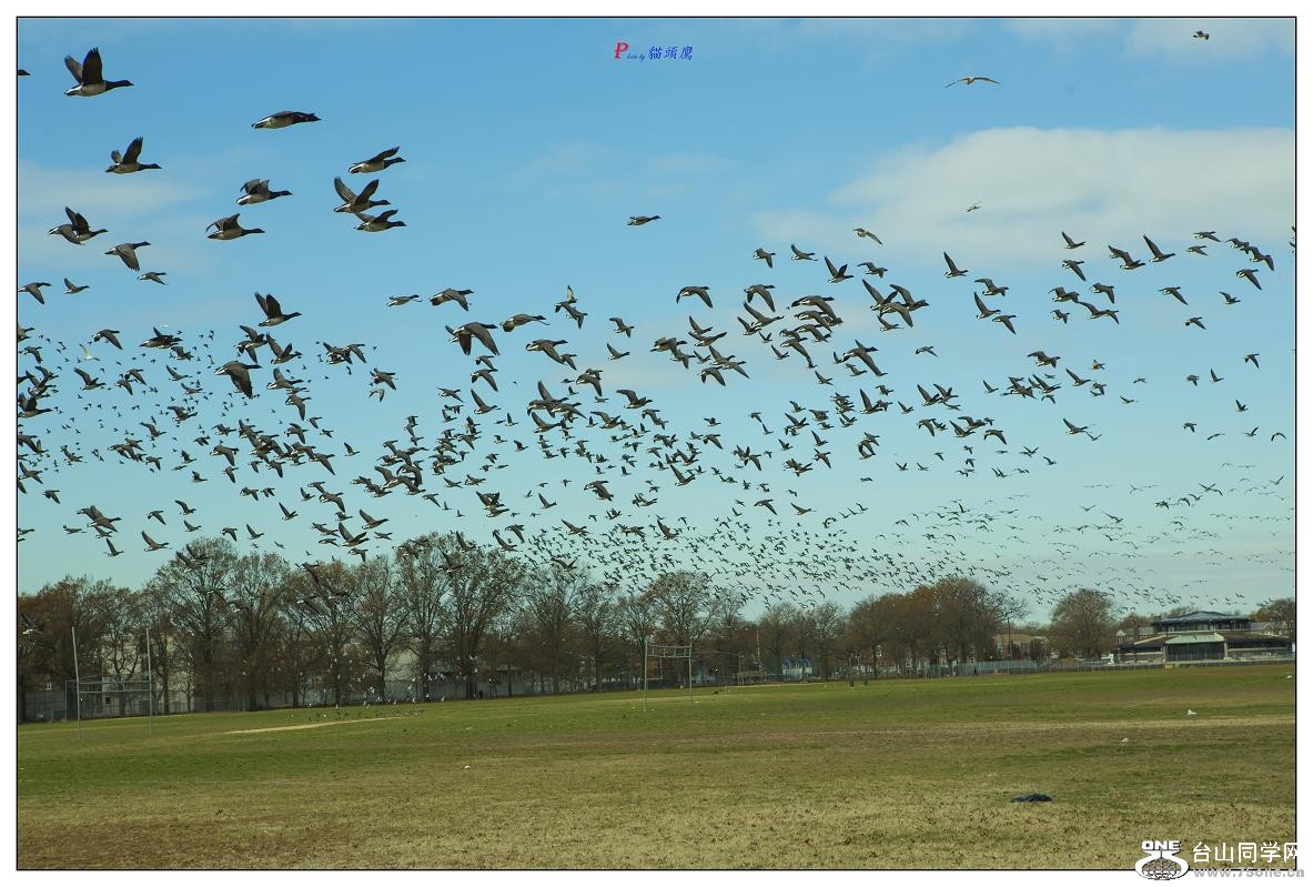 }u -}u -tB 131-1.jpg