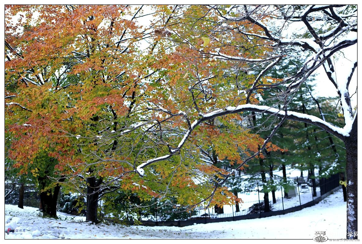 }u -빫@ѩ 248-1.jpg