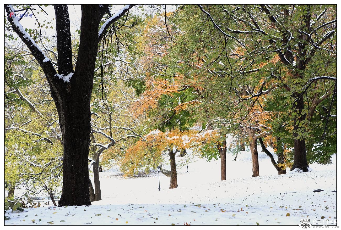 }u -빫@ѩ 429-1.jpg