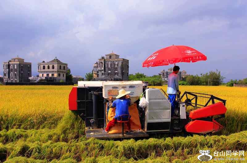 ��ɽ��ʯ�ո�2012.11. 177.jpg