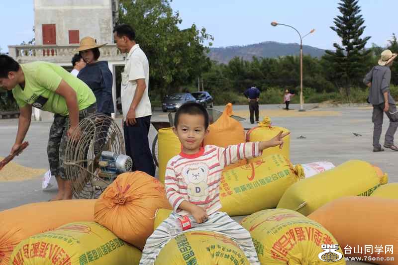 ɽʯո2012.11. 297.jpg