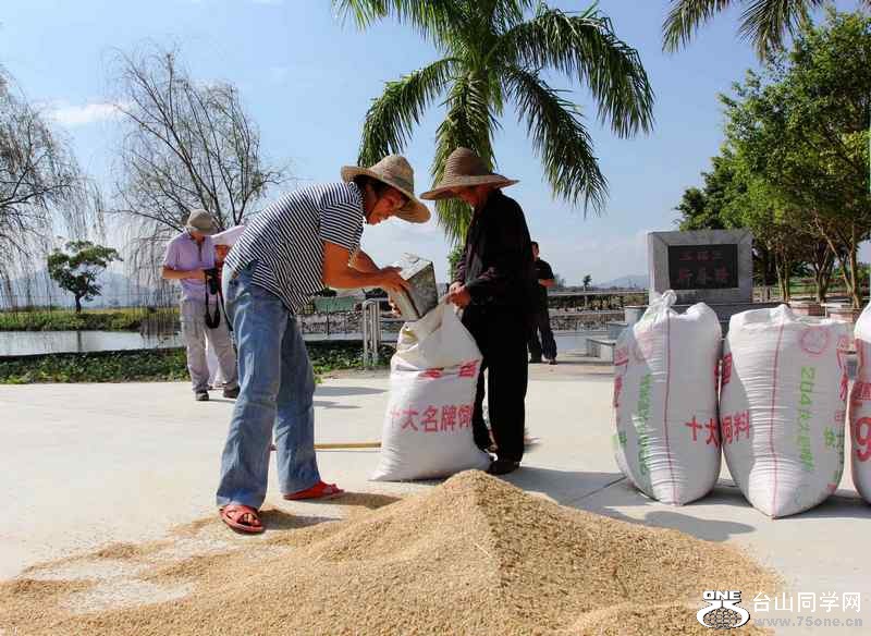 ɽʯո2012.11. 237.jpg