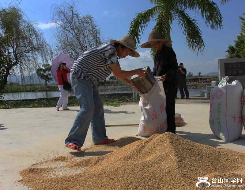 ɽʯո2012.11. 232.jpg