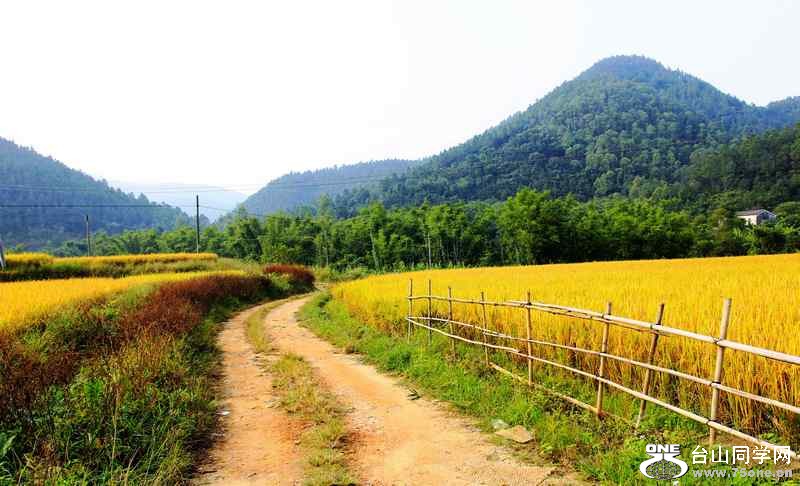 _MG_0598.jpg