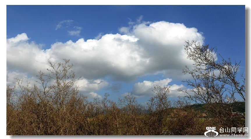 �ѵõ��������