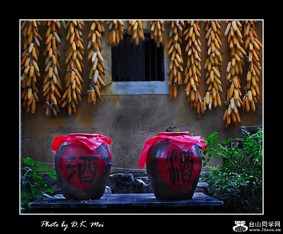 Special Occasion.jpg